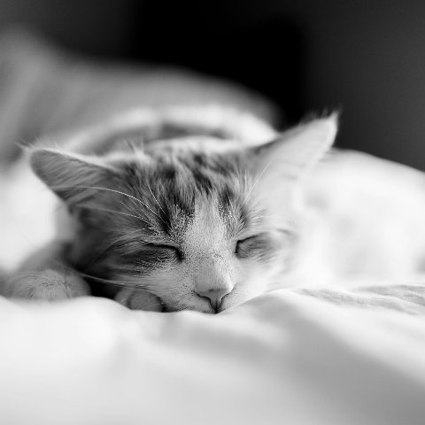 La réflexologie pour bien dormir