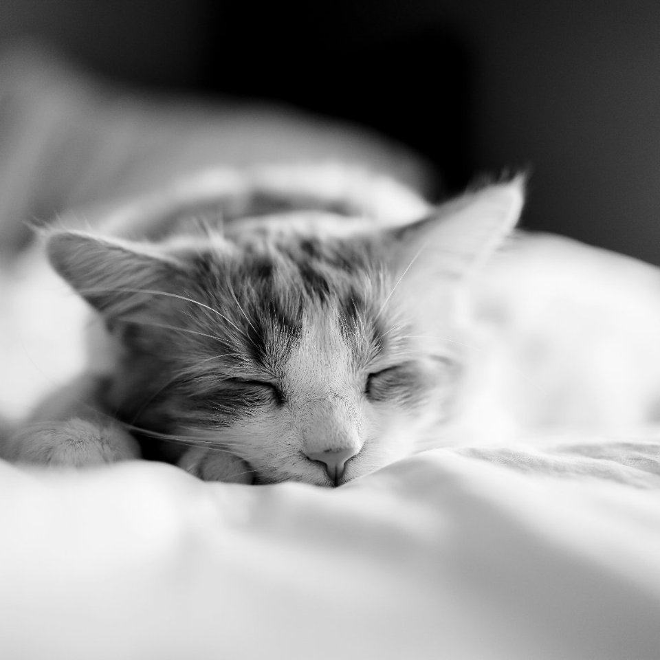 La réflexologie pour bien dormir