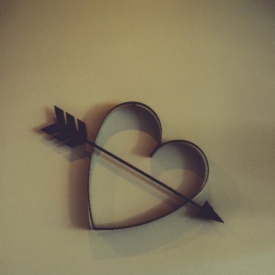 Écrire un journal de gratitude